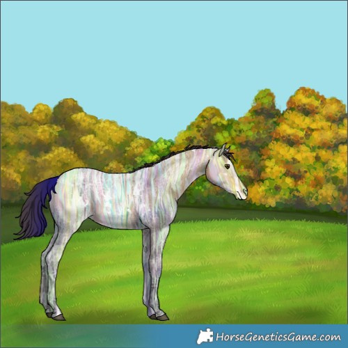 Horse Color:White Spotted Buckskin Ice Dun 