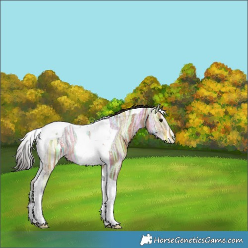 Horse Color:Bay Ice Tobiano Rabicano 