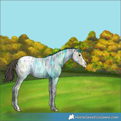 Horse Color:Smoky Black Ice Blanket 