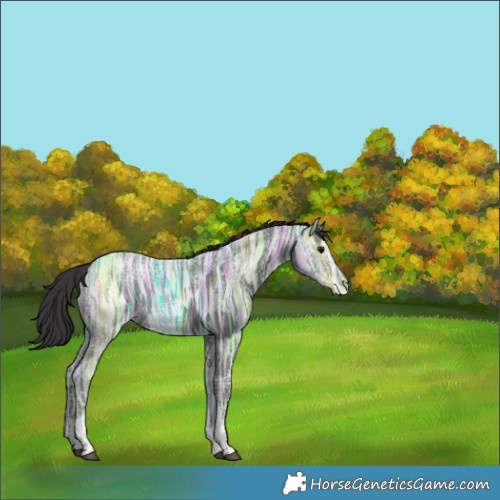 Horse Color:White Spotted Smoky Black Ice Rabicano 