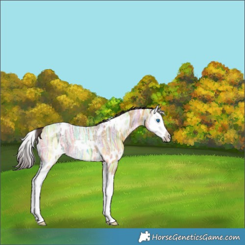 Horse Color:White Spotted Buckskin Ice Splash 
