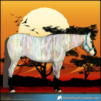 Horse Color:Void Buckskin Ice 