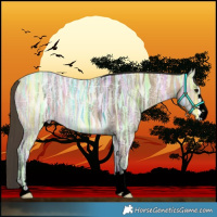 Horse Color:Void Buckskin Ice 