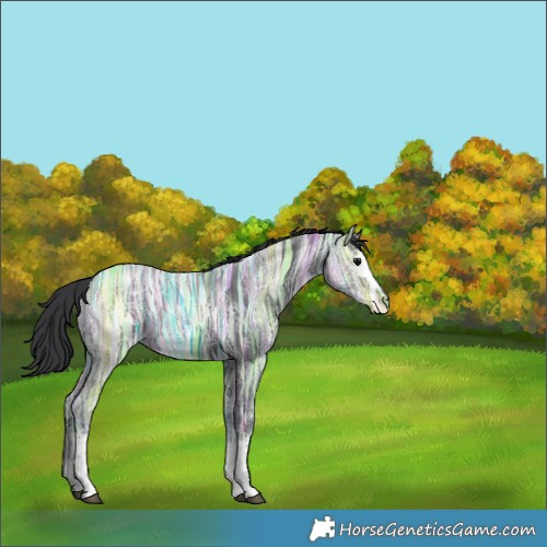 Horse Color:White Spotted Black Ice Varnish 