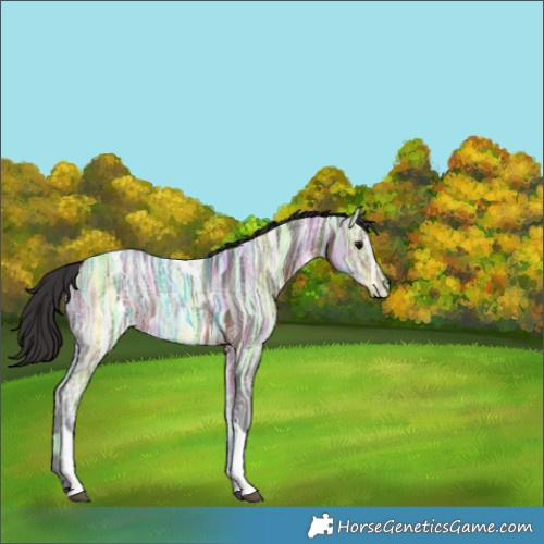Horse Color:Brown Ice Tobiano Rabicano 