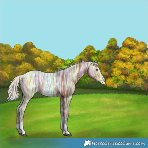 Horse Color:Silver Bay Ice Tobiano Rabicano 