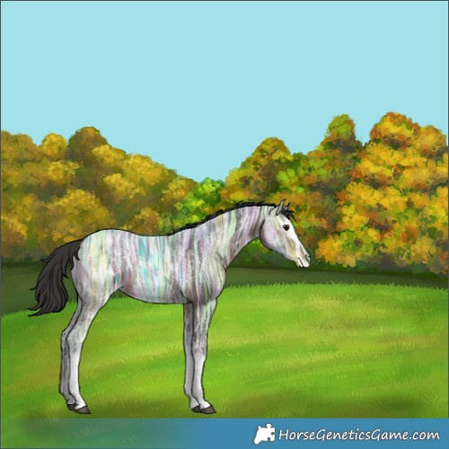 Horse Color:White Spotted Brown Ice 