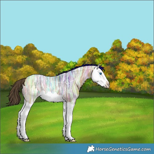 Horse Color:Buckskin Ice Splash 