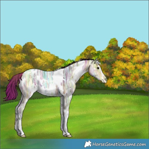 Horse Color:White Spotted Buckskin Ice 