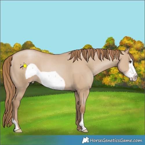 Horse Color:Grullo Pearl Frame 