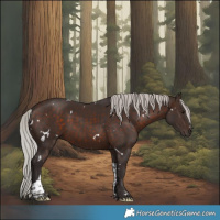 Horse Color:White Spotted Silver Brown Tobiano 