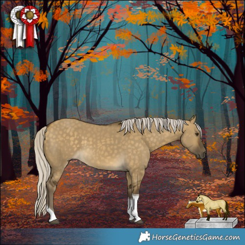 Horse Color:Silver Buckskin Dun Tobiano 