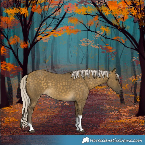 Horse Color:Silver Buckskin Dun Tobiano 