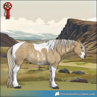 Horse Color:Silver Buckskin Dun Sabino Tobiano 
