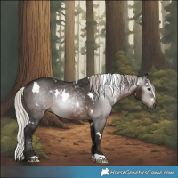 Horse Color:Gray White Spotted Silver Brown Rabicano 