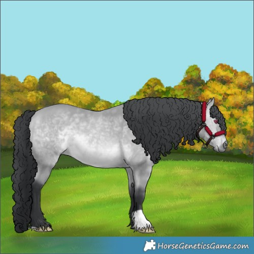 Horse Color:Bay Chinchilla 