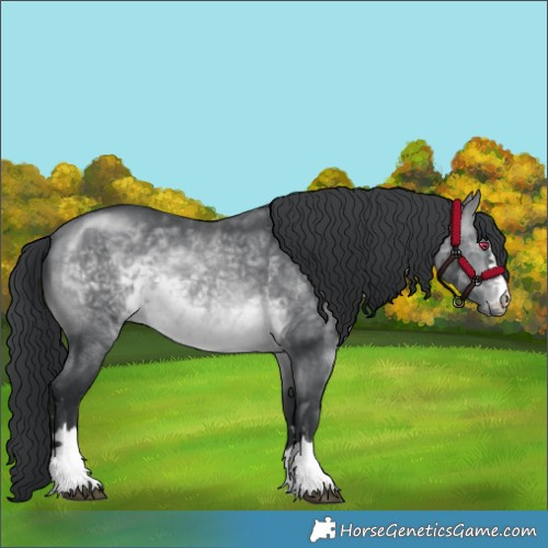 Horse Color:Brown Chinchilla