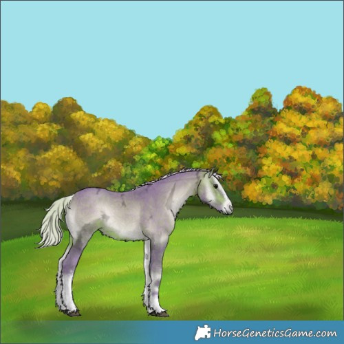 Horse Color:Watercolor White Spotted Silver Brown Ice Onyx 