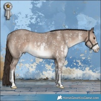 Horse Color:Liver Red Dun Sabino Rabicano Brindle 