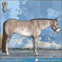 Horse Color:Liver Red Dun Sabino Rabicano Brindle
