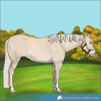 Horse Color:Cremello Dun 