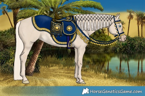 Horse Color:Cremello Dun 