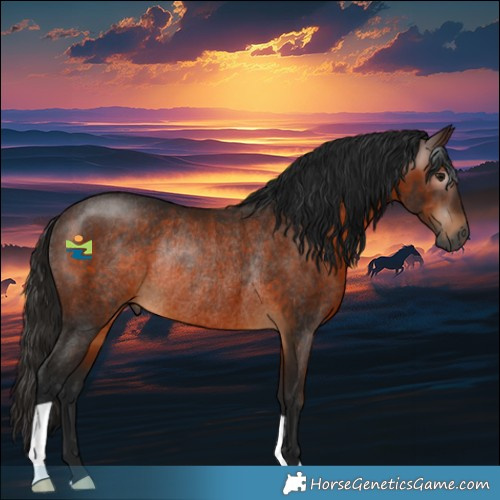 Horse Color:Gray Bay Rabicano 