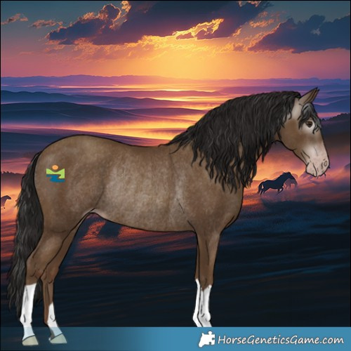 Horse Color:Gray Classic Champagne Rabicano 