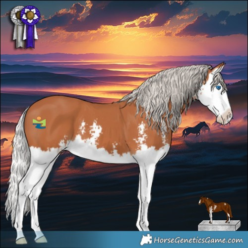Horse Color:Silver Bay Sabino Splash