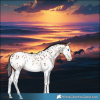 Horse Color:Gray Amber Champagne Splash Near Leopard 