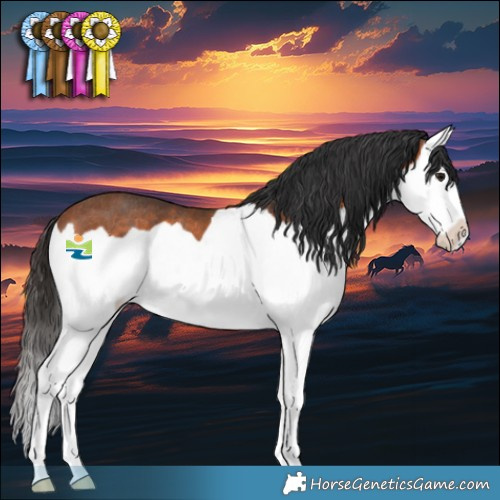 Horse Color:Bay Splash Rabicano 