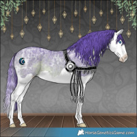 Horse Color:Watercolor Bay Ice Splash 