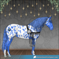 Horse Color:Watercolor Black Appaloosa 