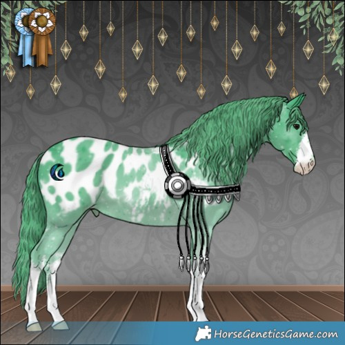 Horse Color:Watercolor White Spotted Black Appaloosa 