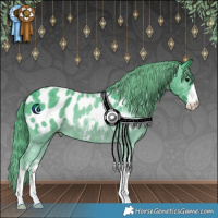 Horse Color:Watercolor White Spotted Black Blanket 