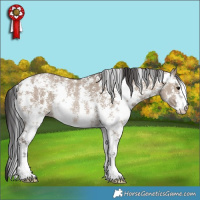 Horse Color:Brown Dun Sabino Rabicano 