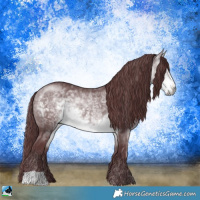 Horse Color:Chocolate Buckskin Chinchilla Rabicano
