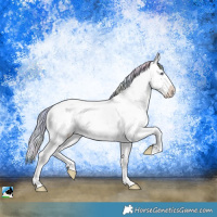 Horse Color:Nacre Silver Brown Chinchilla Ice Sabino 