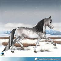 Horse Color:Platinum White Spotted Brown Onyx Sabino