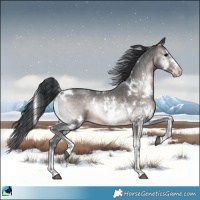 Horse Color:Platinum White Spotted Brown Onyx Sabino 