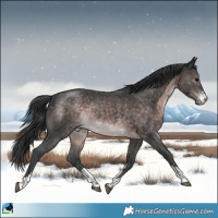 Horse Color:Platinum Brown Sabino Rabicano