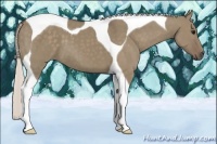 Horse Color:Silver Grullo Tobiano