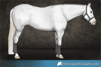 Horse Color:Liver Red Dun Varnish Brindle