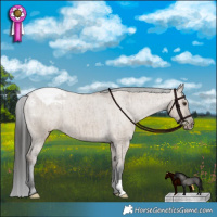 Horse Color:Liver Red Dun Appaloosa Brindle 