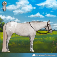 Horse Color:Liver Red Dun Appaloosa Brindle 