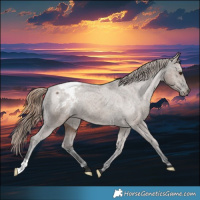 Horse Color:Liver Red Dun Appaloosa Brindle 