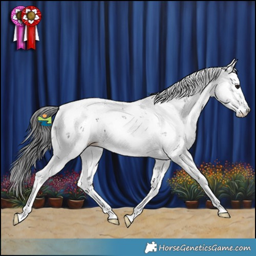 Horse Color:Smoky Black Sabino 