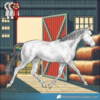 Horse Color:Smoky Black Sabino 