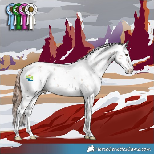 Horse Color:Chestnut Sabino 
