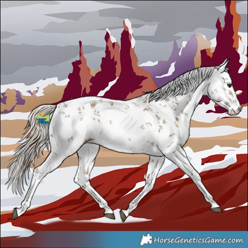 Horse Color:White Spotted Chocolate Palomino Sabino 